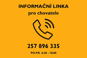 SLAK infolinka
